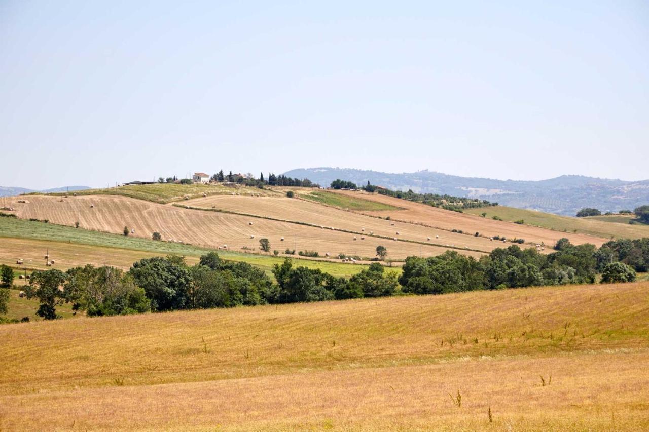 סטורניה Agriturismo Montecrespini מראה חיצוני תמונה